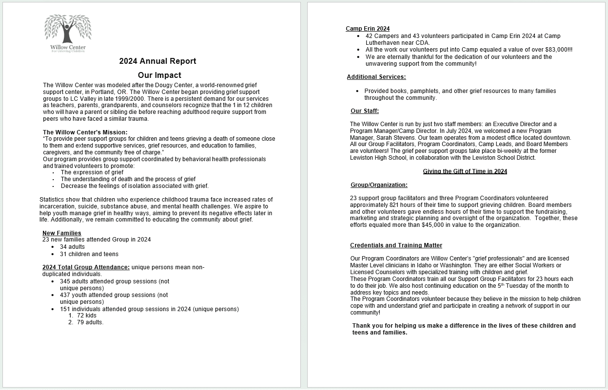Annual Report 2024 Screenshot